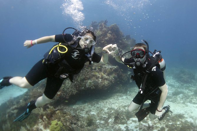 Scuba diving at MUSA the underwater museum for certified divers - MUSA underwater museum: statues, marine life, and better light tips