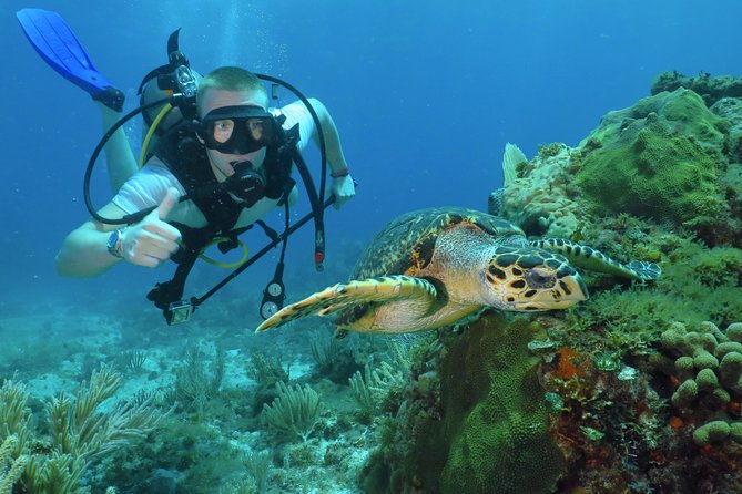 Scuba Diving Under Water Museum and Reef for beginners - Key Highlights Worth Knowing