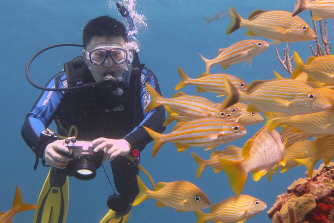 Scuba Diving Under Water Museum and Reef for beginners - MUSA Underwater Museum: 500+ Sculptures for First Timers