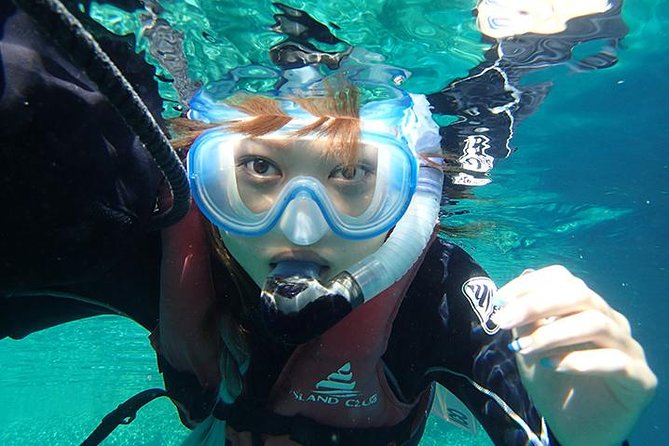 Small-Group Mesoamerican Barrier Reef Snorkeling in Puerto Morelos - Key highlights worth circling