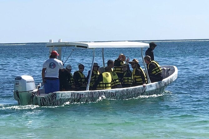 Small-Group Mesoamerican Barrier Reef Snorkeling in Puerto Morelos - Price check: what $45 gets you (and what it doesn’t)