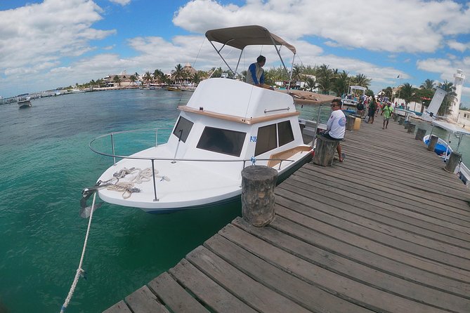 Snorkeling Adventure in Puerto Morelos Includes snack, Water and Round Trip. - Puerto Morelos snorkeling with the National Reef Park rules front and center