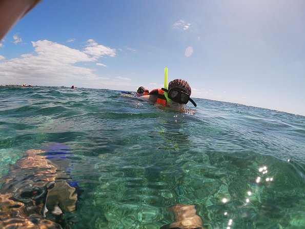 Snorkeling Adventure in Puerto Morelos Includes snack, Water and Round Trip. - Gear, buoyancy, and how to avoid sore-limits on snorkeling day