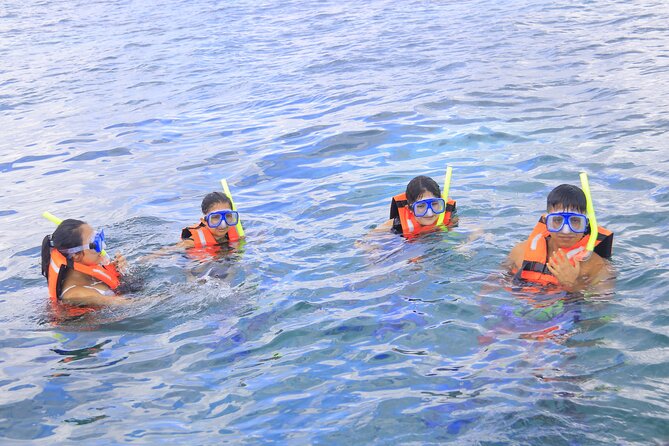 Snorkeling Adventure in Puerto Morelos Includes snack, Water and Round Trip. - After snorkeling: shower, change, then tacos in Puerto Morelos’ private beach vibe