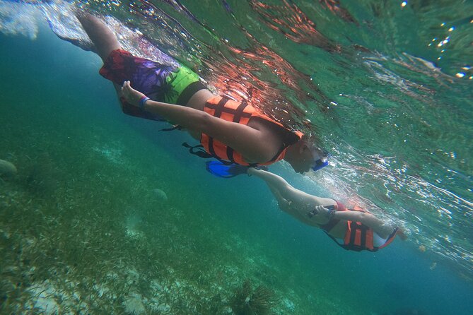 Snorkeling Adventure in Puerto Morelos Includes snack, Water and Round Trip. - Pickup timing and the rhythm of the day (why the day feels longer than it sounds)
