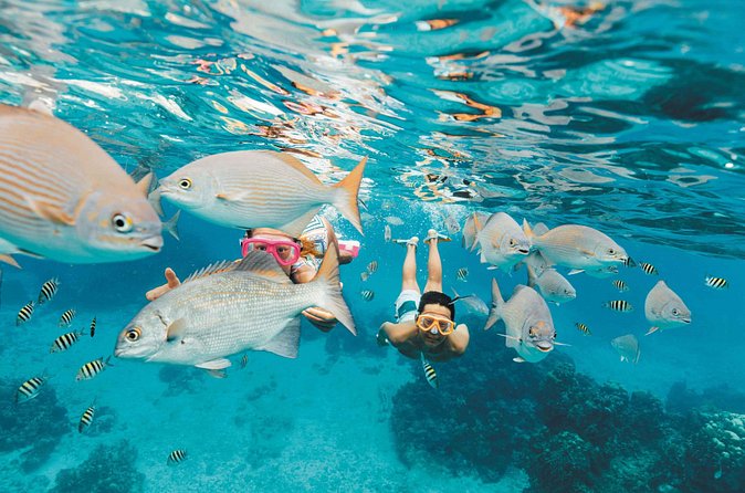 Snorkeling in Puerto Morelos - Equipment, Safety Style, and Small Comfort Wins
