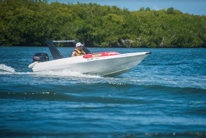 Speedboat and snorkel tour: Single Passenger Boat - What You Really Get: Your Own Speedboat in Cancun