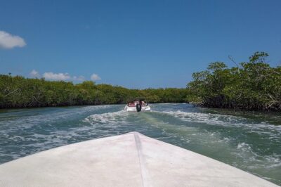 Speedboat and snorkel tour: Single Passenger Boat - Meeting at Jungle Tour Adventure Cancun and Getting Up to Speed