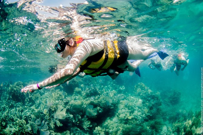 Speedboat and snorkel tour: Single Passenger Boat - What to Bring (and What to Skip) for a Smooth 2 Hours
