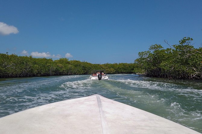 Speedboat and snorkel tour: Single Passenger Boat - Meeting at Jungle Tour Adventure Cancun and Getting Up to Speed