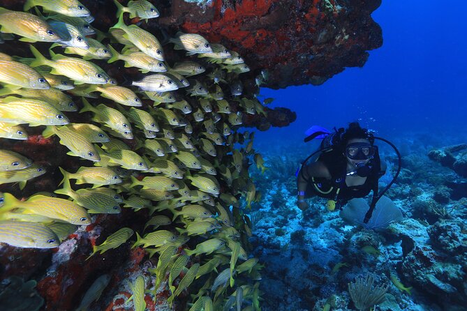 Two Tanks Scuba Diving for Beginners in Cancun - Before anything underwater: medical form, theory, and pool practice