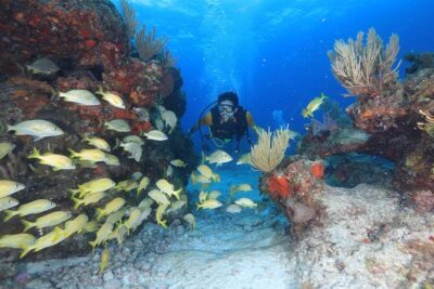 Two Tanks Scuba Diving for Beginners in Cancun - Getting there: Hotel Sotavento Cancun meet-up and timing