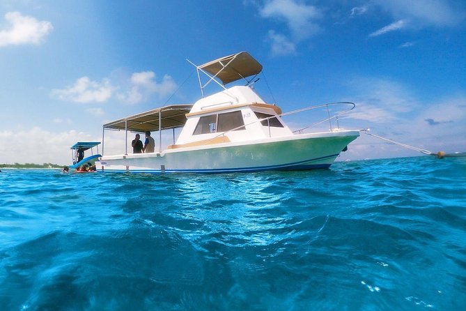 Ultimate 5x1 Combo with ATV, Ziplines, Cenote & Reef Snorkeling - Why this Cancun 5x1 combo fits a full-day mood