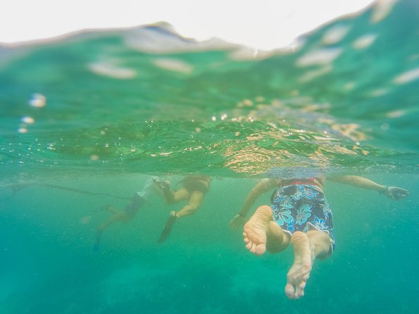 Viator Exclusive: Tulum Ruins, Reef Snorkeling, Cenote and Caves - Snorkeling at Playa Maya: Boat Access, Gear Included, and Real Marine Life
