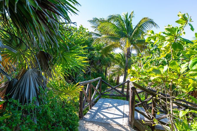 Viator Exclusive: Tulum Ruins, Reef Snorkeling, Cenote and Caves - Lunch Between Ruins and Water: Tacos, Fajita-Style Chicken, and Cochinita Pibil
