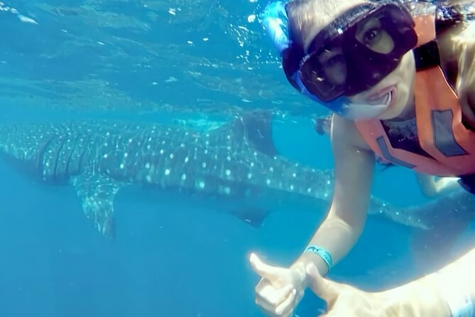 Whale Shark Adventure in Isla Mujeres and Cancun - Besides whale sharks: manta rays, dolphins, flying fish, and the whole seascape show