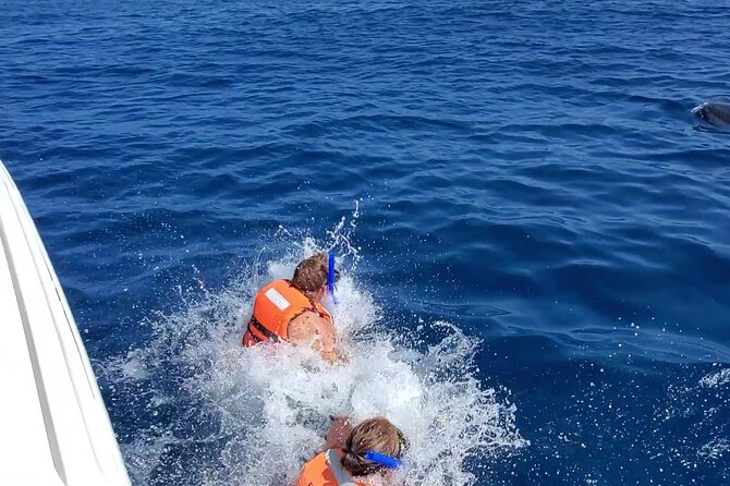 Whale Shark Adventure in Isla Mujeres and Cancun - Who should book this whale shark snorkeling tour
