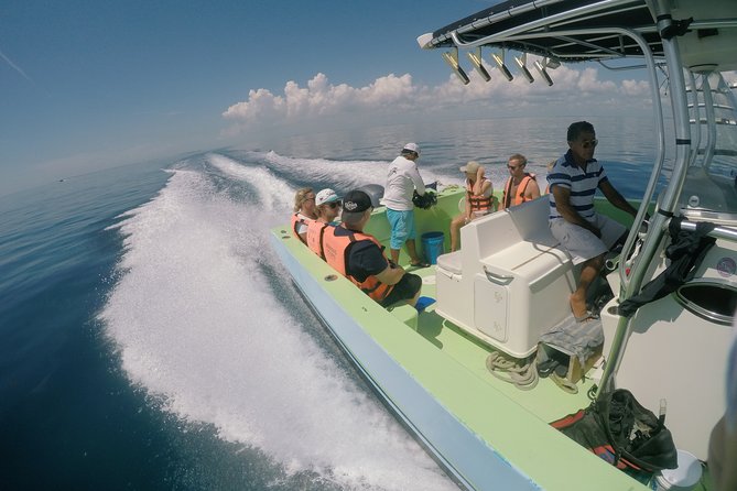 Whale Shark Tour from Cancun, Playa del Carmen, Tulum and Riviera Maya - Seasickness and the boat ride reality check