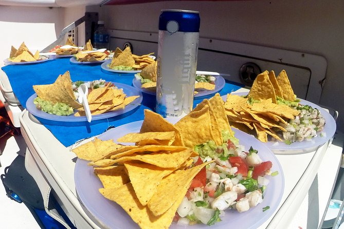 Whale Shark Tour from Cancun, Playa del Carmen, Tulum and Riviera Maya - Marine life beyond whale sharks: the day’s bonus sightings