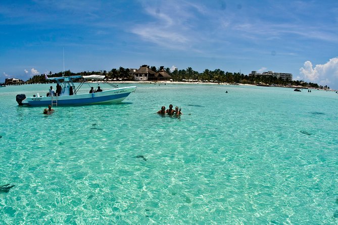 Whale Shark Tour from Cancun, Playa del Carmen, Tulum and Riviera Maya - Food, dietary needs, and the small choices that save your day