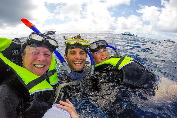 Whale Shark Tour from Cancun, Playa del Carmen, Tulum and Riviera Maya - Early mornings, long transfers, and why you’ll be glad you started on time