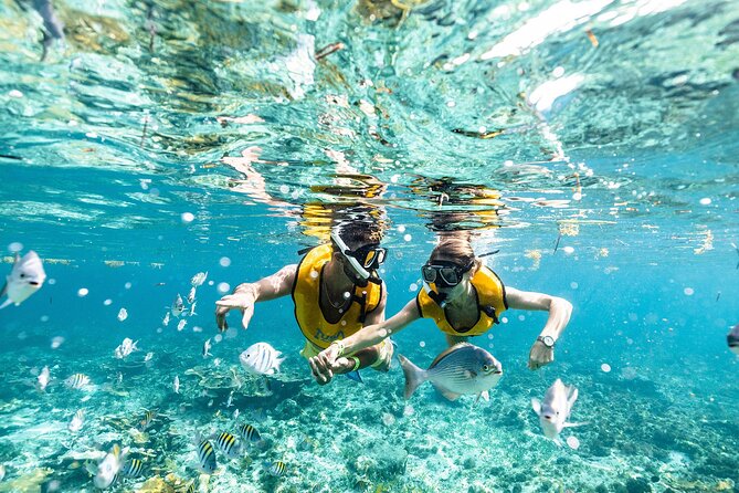 With Turtles, Shipwreck, Cenote, and Reef and Transport Included - How this Cancun snorkeling tour really works