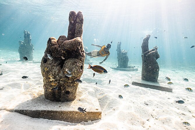 With Turtles, Shipwreck, Cenote, and Reef and Transport Included - Gear, safety, and that first mask moment