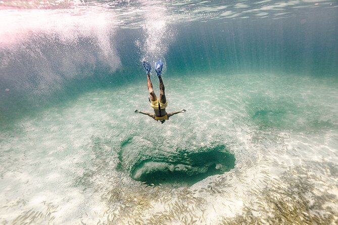With Turtles, Shipwreck, Cenote, and Reef and Transport Included - Stop-by-stop: what you’re likely to see