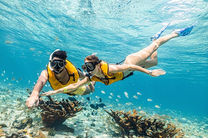 With Turtles, Shipwreck, Cenote, and Reef and Transport Included - How long you’ll be in the water