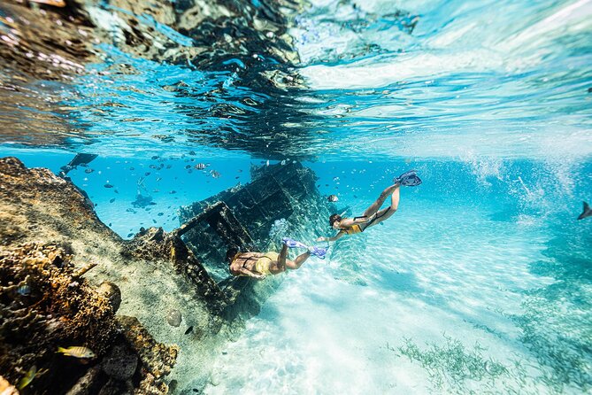 With Turtles, Shipwreck, Cenote, and Reef and Transport Included - Transport and meeting point: what to expect on the surface