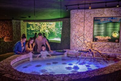 Xcaret Park Day Trip, transportation and Cultural Night Show - Wildlife, orchids, butterflies, and the coral reef aquarium