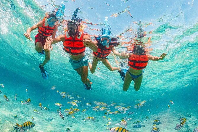 Xcaret Park Day Trip, transportation and Cultural Night Show - Optional activities: dolphins, stingrays, jetboat, Sea Trek, and Snuba