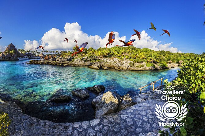 Xcaret Park Entry Tickets with Cultural Night Show Included - The Plus upgrade: lunch, lockers, and snorkel rental planning