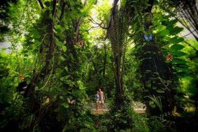 Xcaret Park Entry Tickets with Cultural Night Show Included - Getting to Xcaret near Playa del Carmen without stress