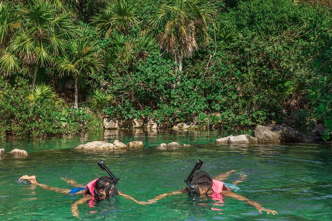 Xcaret Park Entry Tickets with Cultural Night Show Included - Timing and walking tips that make the day easier