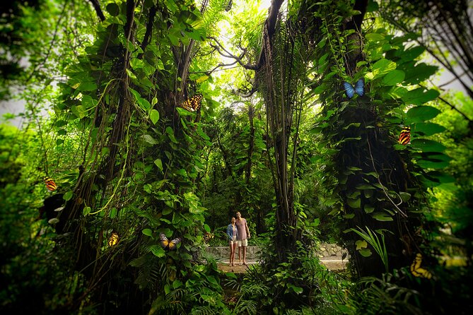 Xcaret Park Entry Tickets with Cultural Night Show Included - Getting to Xcaret near Playa del Carmen without stress