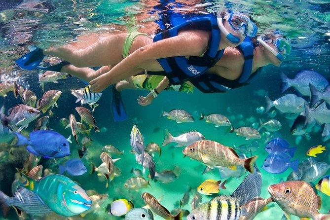 Xel ha All Inclusive - Quick hits