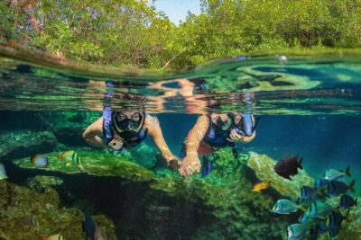 Xel-Ha Park Admission Tickets - Timing Your Day: when to arrive and how long you really need