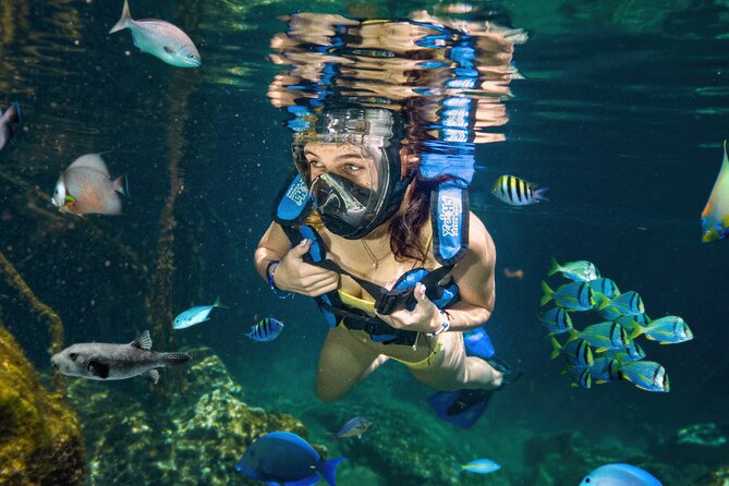 Xel-Ha Tickets with Transportation included - The Main Park Day: Snorkeling, Cenotes, Caves, and the “Natural Aquarium” Layout